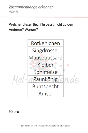 Zusammenhange Erkennen Ein Arbeitsblatt Zum Thema Vogel